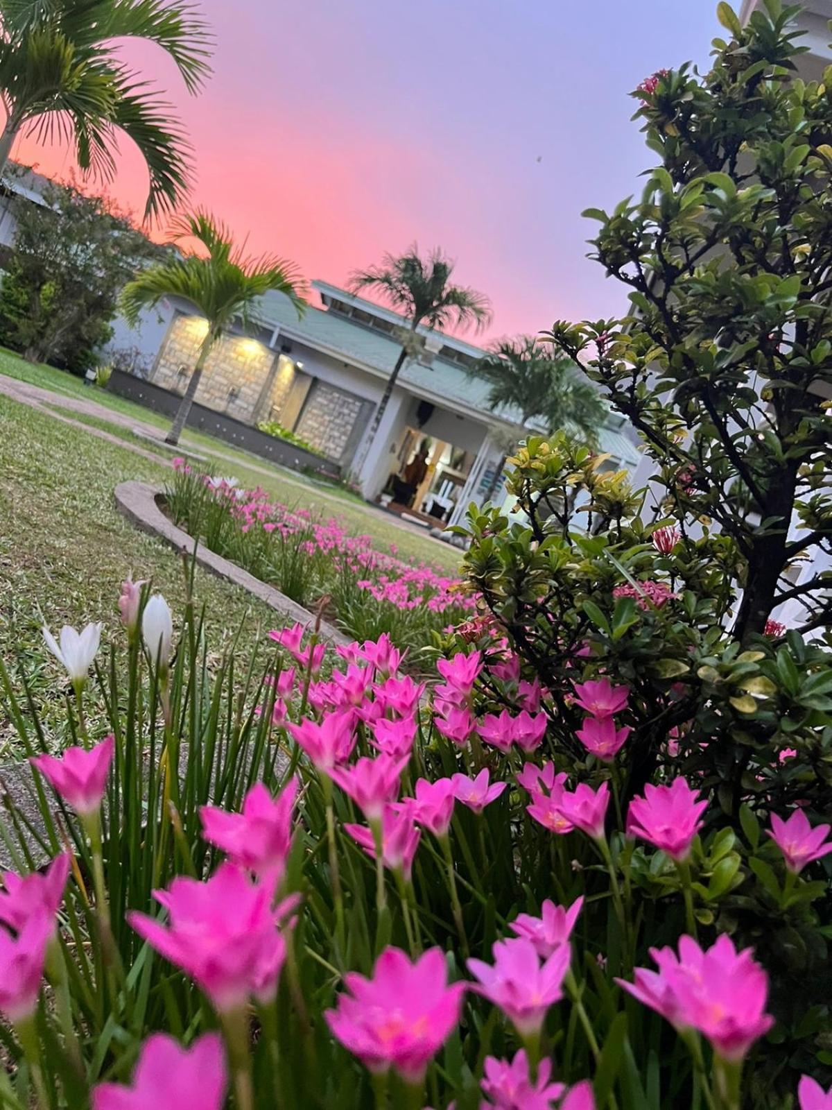 Residence Argine Victoria Εξωτερικό φωτογραφία